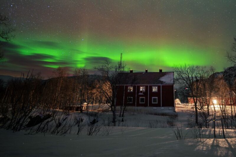 From Narvik: The Northern Lights Arctic Train Guided Tour - What to Expect on the Tour