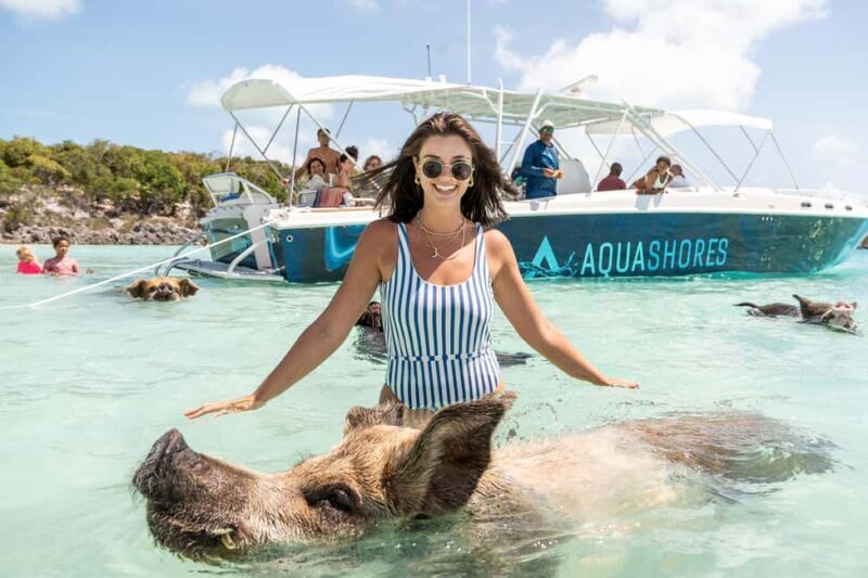 From Nassau: Exuma Powerboat Tour and Pig Beach with Lunch - First Stop: Allen’s Cay and the Rock Iguanas