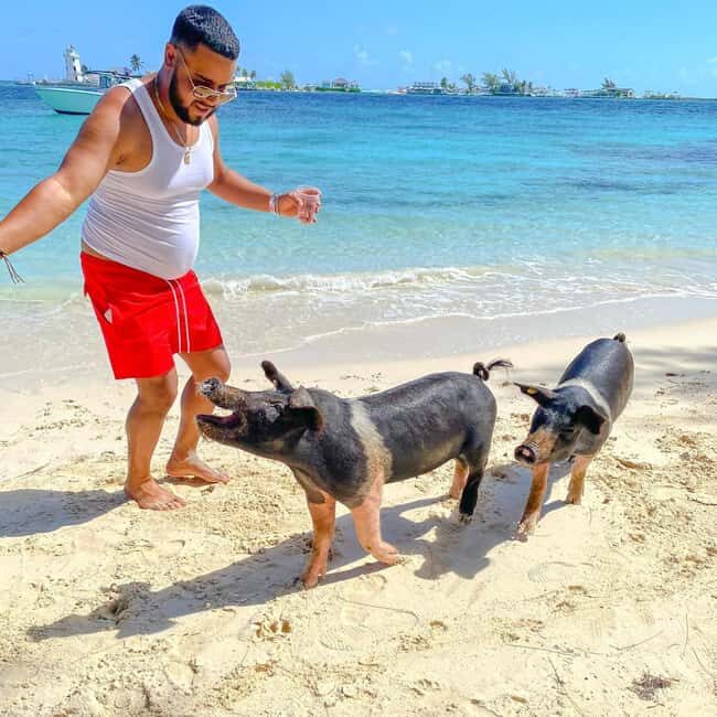From Nassau: Swim with Pigs Safari - An Authentic Day on the Water: What to Expect