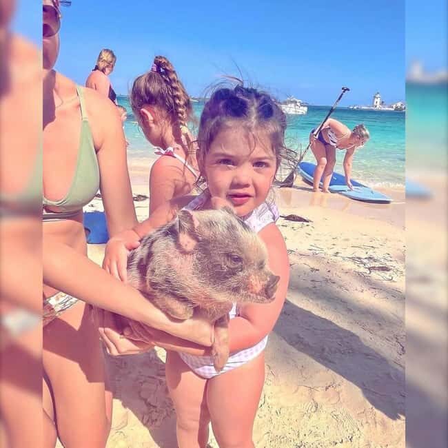 From Nassau: Swim with Pigs Safari - In The Sum Up