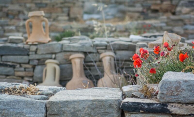 From Naxos: Delos and Mykonos Day Trip With Licensed Guide - Meeting Point Details
