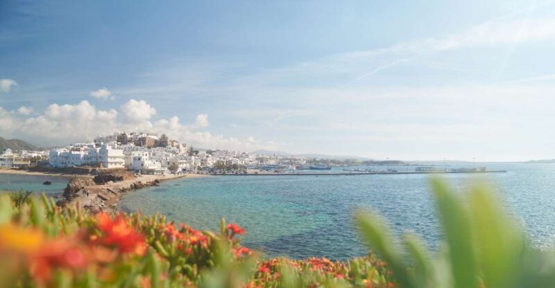 From Naxos: Delos and Mykonos Full-Day Trip by Catamaran - Inclusions and Exclusions