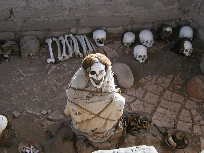 From Nazca|| Archaeological Tour of Nazca + Antonini Museum - Itinerary Highlights