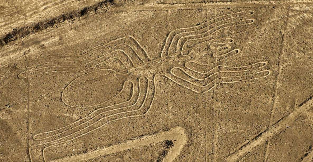 From Nazca: Small Plane Flight Over the Nazca Lines - Key Points