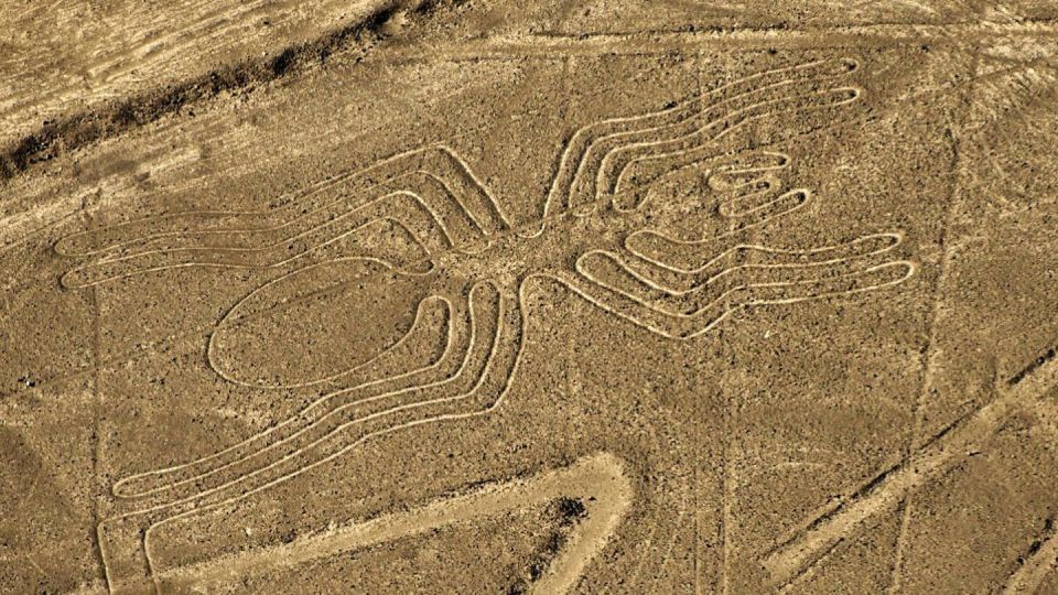 From Nazca: Small Plane Flight Over the Nazca Lines - Detailed Itinerary for the Day