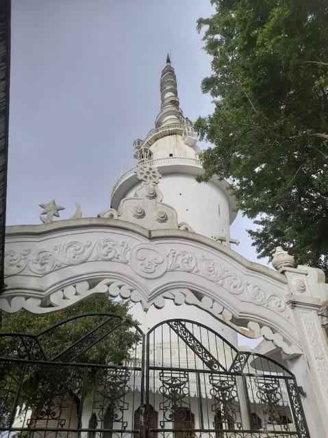 From Negombo: Ambuluwawa Tower & Tea Factory,Kandy Day Trip - Important Travel Tips