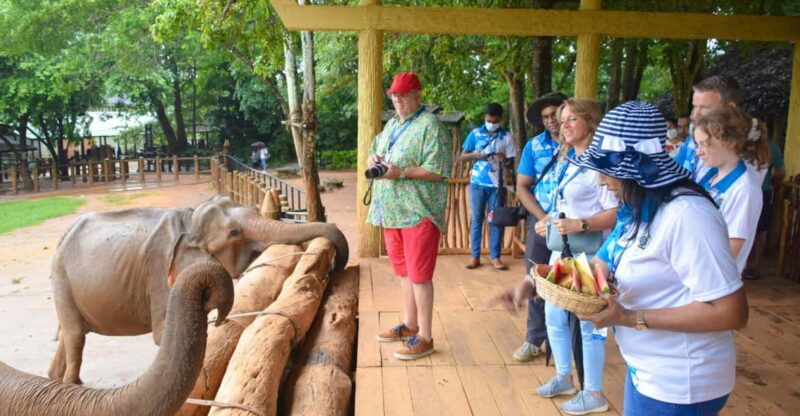 From Negombo: Kandy Transfer With Elephant Orphanage Visit - Good To Know