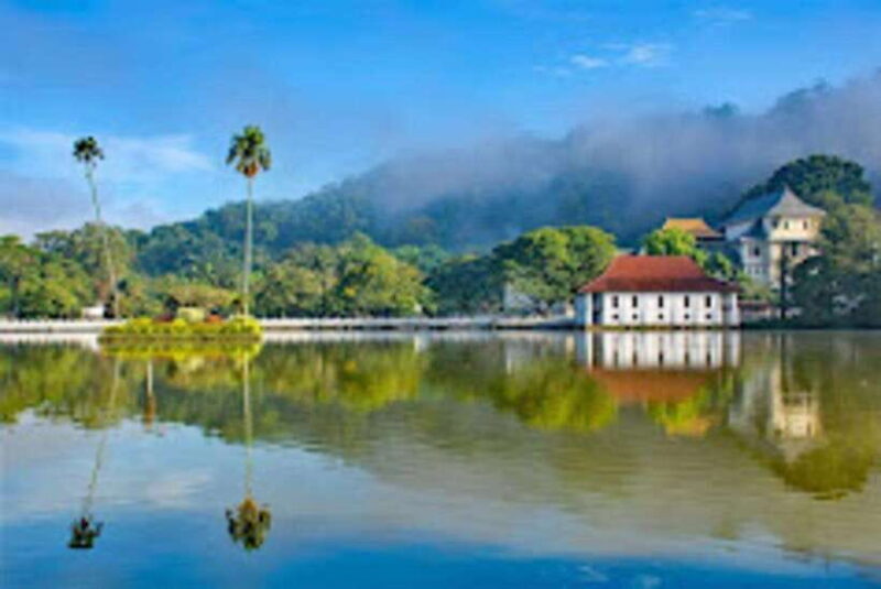 From Negombo : Pinnawala & Tea Factory & Kandy Full Day Trip - Key Points