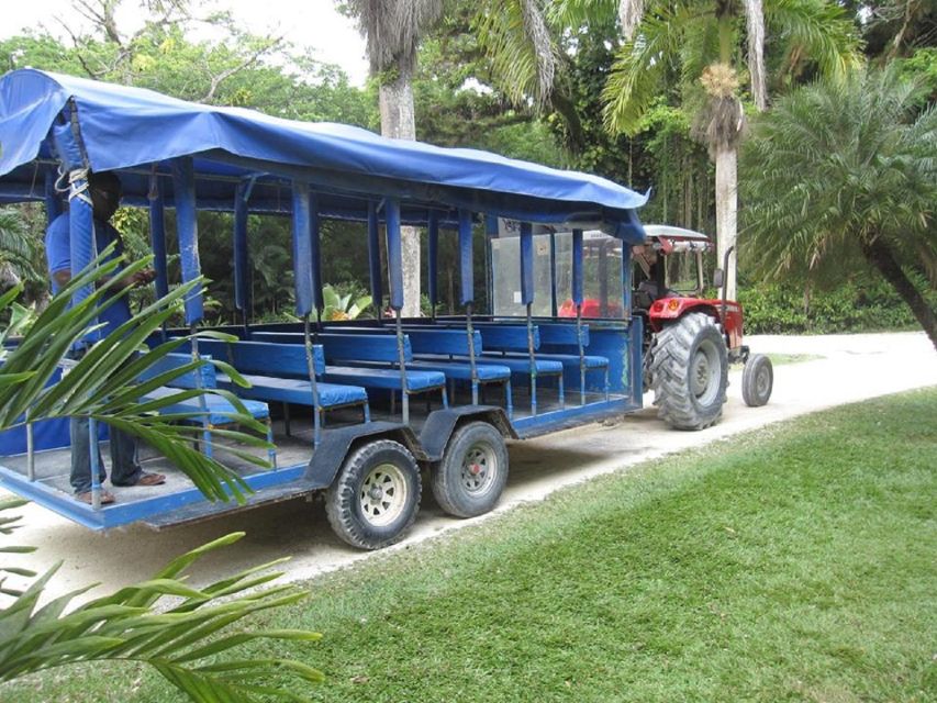 From Negril: YS Falls and the Pelican Bar - Key Points