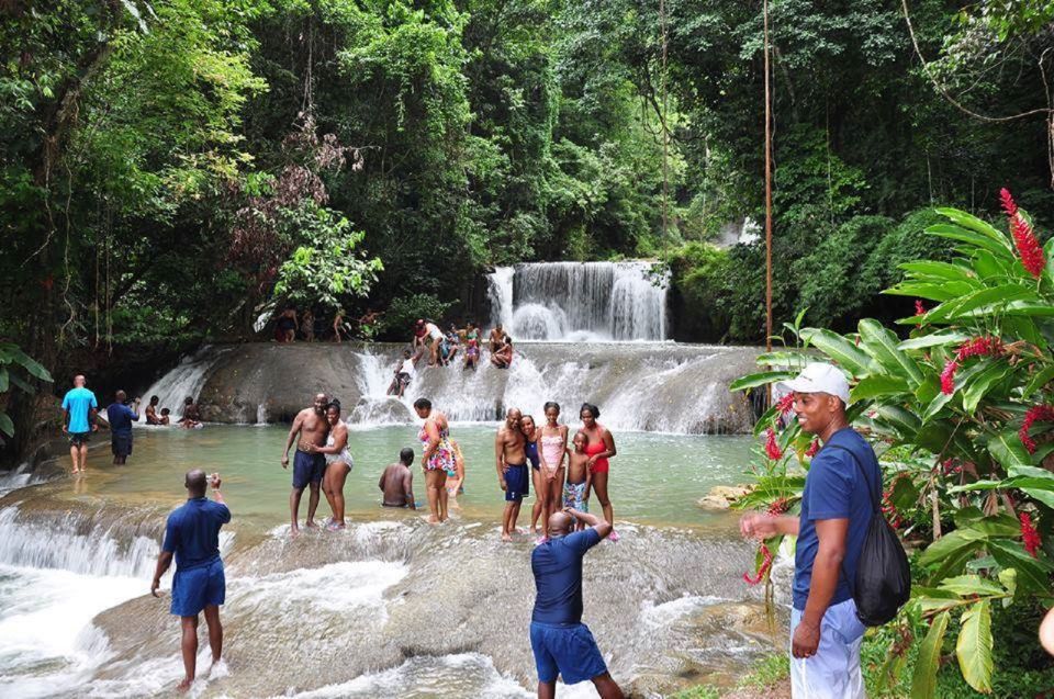 From Negril: YS Falls and the Pelican Bar - Excluded From the Price