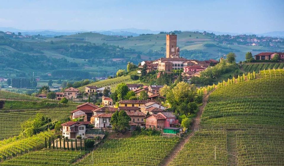 From Neive: Guided E-Bike Tour to Barbaresco and Treiso - Key Points