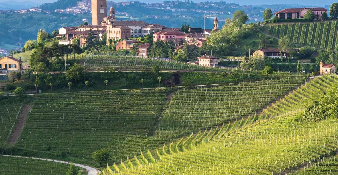 From Neive: Guided E-Bike Tour to Barbaresco and Treiso - Discover Barbaresco and Treiso