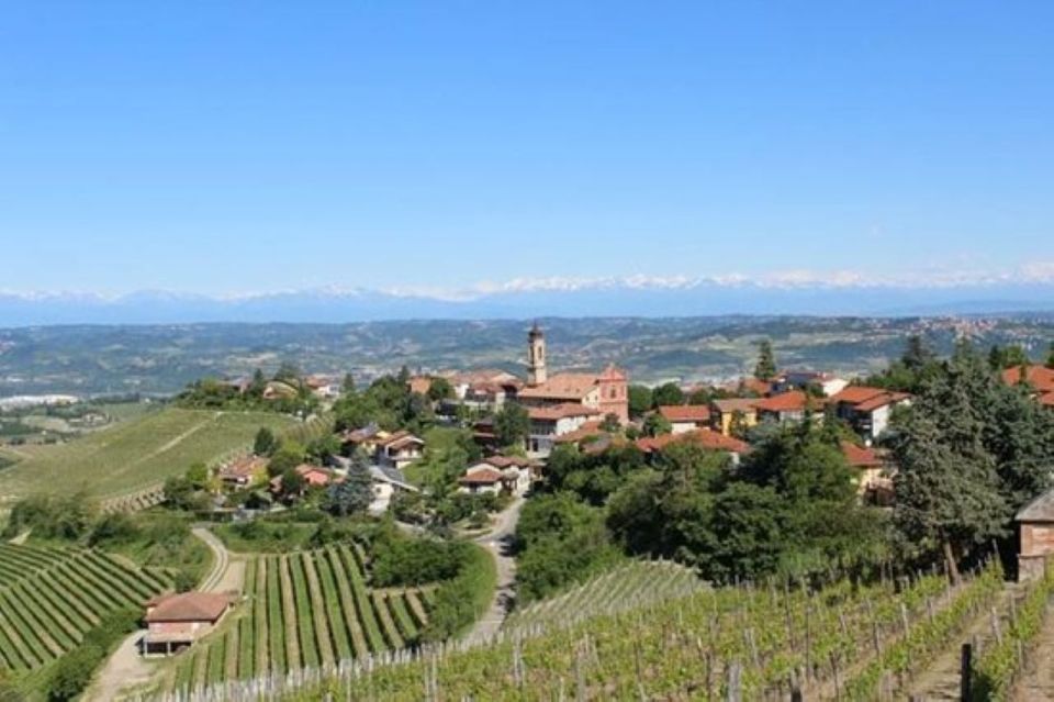 From Neive: Guided E-Bike Tour to Barbaresco and Treiso - Tasting Local Wines
