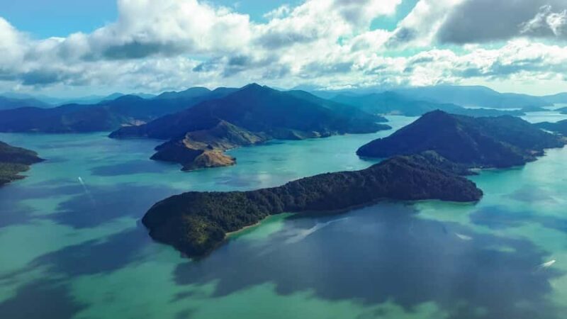 From Nelson: Marlborough Sounds Scenic Helicopter Flight - Practical Details: What You Need to Know