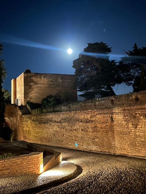 From Nerja/Almunecar: Granada Full-Day Trip - Customer Feedback and Ratings