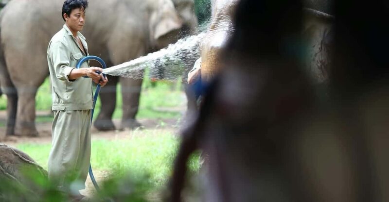 From New Delhi: Elephant SOS & Taj Mahal Sunrise Tour - Good To Know