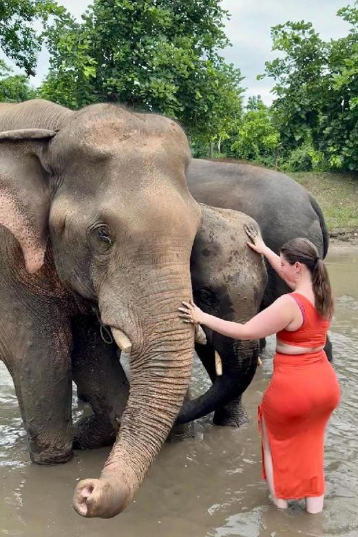 From New Delhi: Elephant SOS & Taj Mahal Sunrise Tour - Important Information