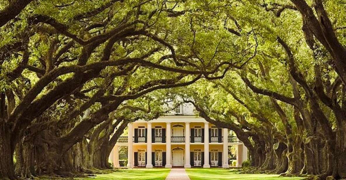 From New Orleans: Oak Alley or Laura Plantation Tour - Key Points
