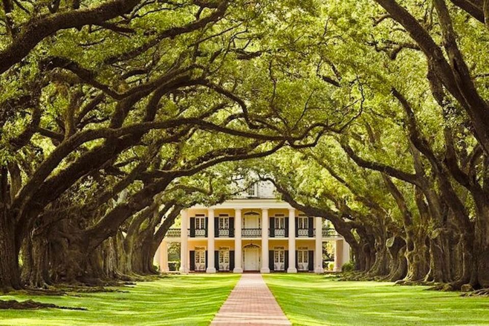 From New Orleans: Oak Alley or Laura Plantation Tour - Oak Alley Plantation Tour