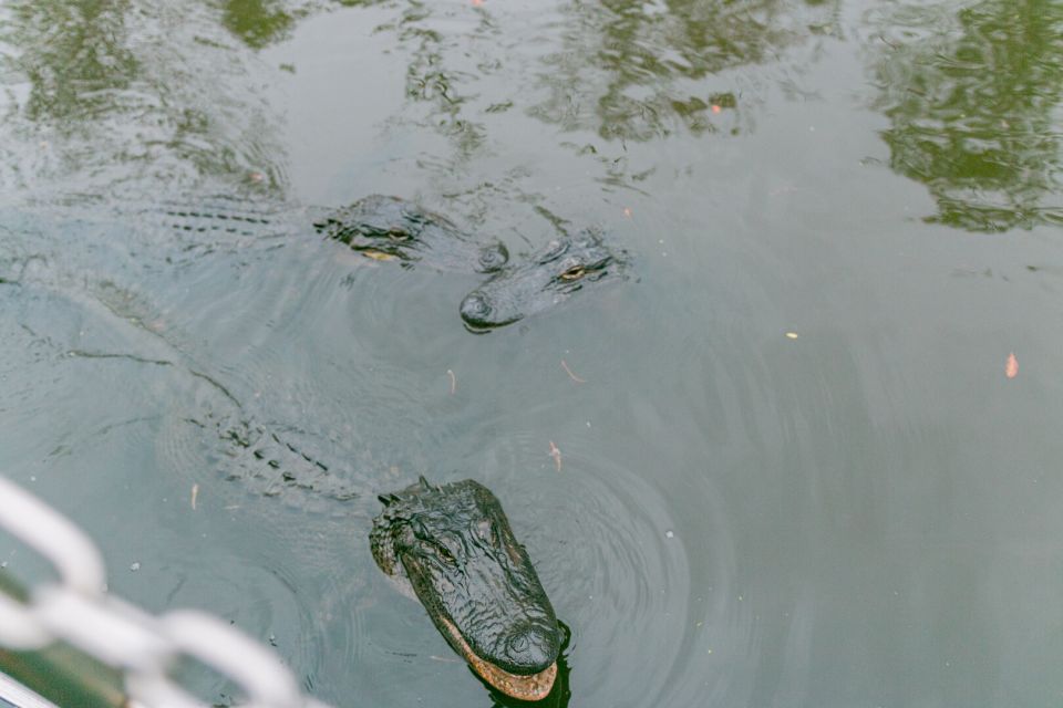 From New Orleans: Swamp Airboat, 2 Plantation Tours & Lunch - Laura Plantation Tour