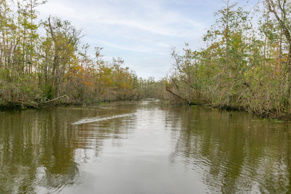 From New Orleans: Swamp Airboat, 2 Plantation Tours & Lunch - Gourmet Creole Lunch