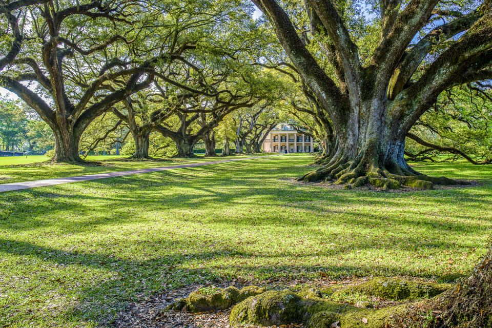 From New Orleans: Whitney Plantation Ticket & Transportation - Transportation and Inclusions