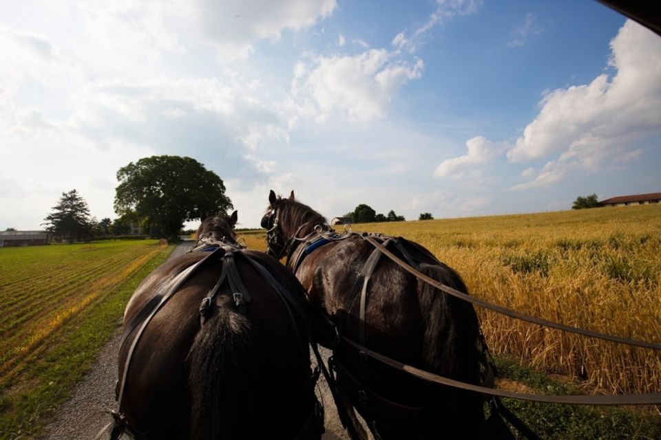From New York City: Philadelphia and Amish Country Day Trip - Authentic Amish Buggy Ride