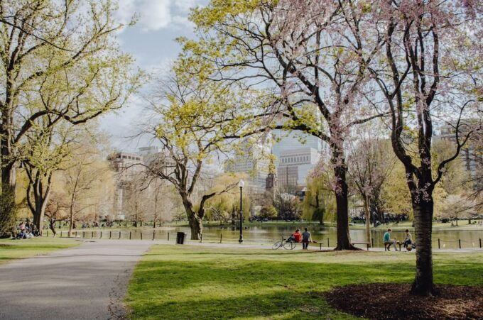 From New York: Niagara Falls and Washington DC 3-Day Trip - Customer Experiences