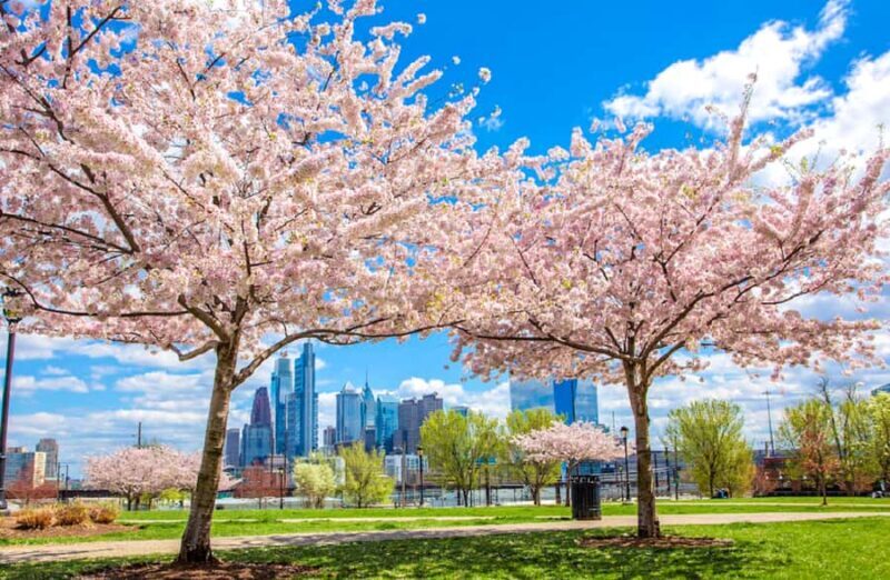 From New York: Philadelphia Cherry Blossom 1-Day Trip - What to Expect from the Tour