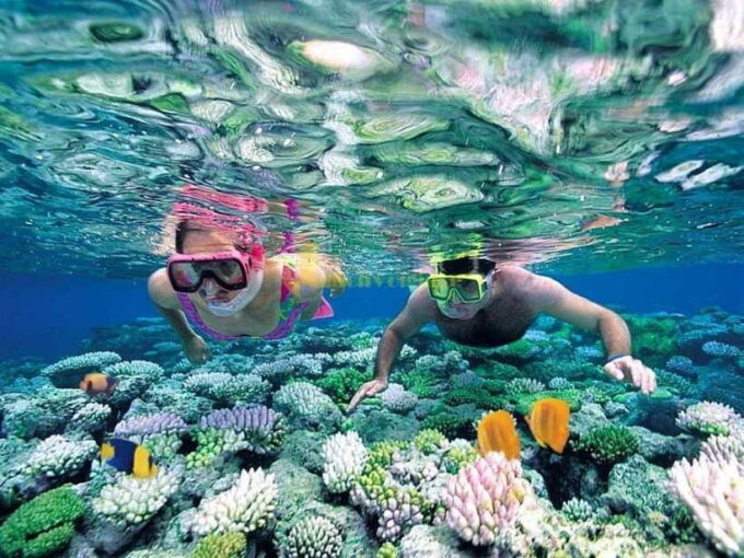 From Nha Trang: 3-Island Deluxe Tour With Lunch - Booking Information and Pricing Details