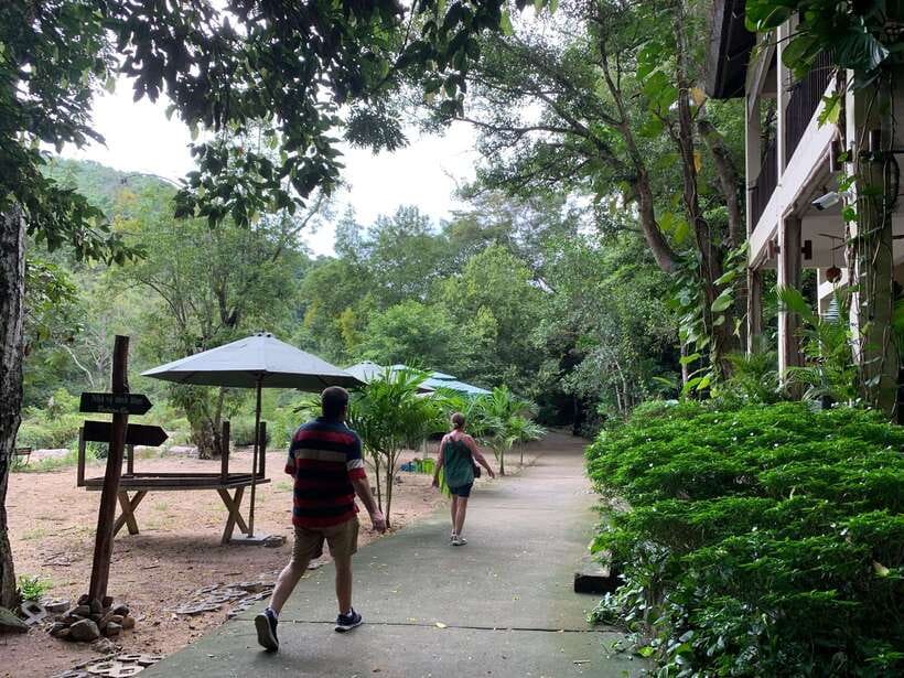 From Nha Trang: Ba Ho Waterfall and Countryside Tour - Sampling Local Cuisine