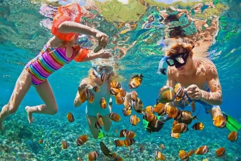 From Nha Trang: Relaxing Mini Beach & Snorkeling Tour - Restrictions