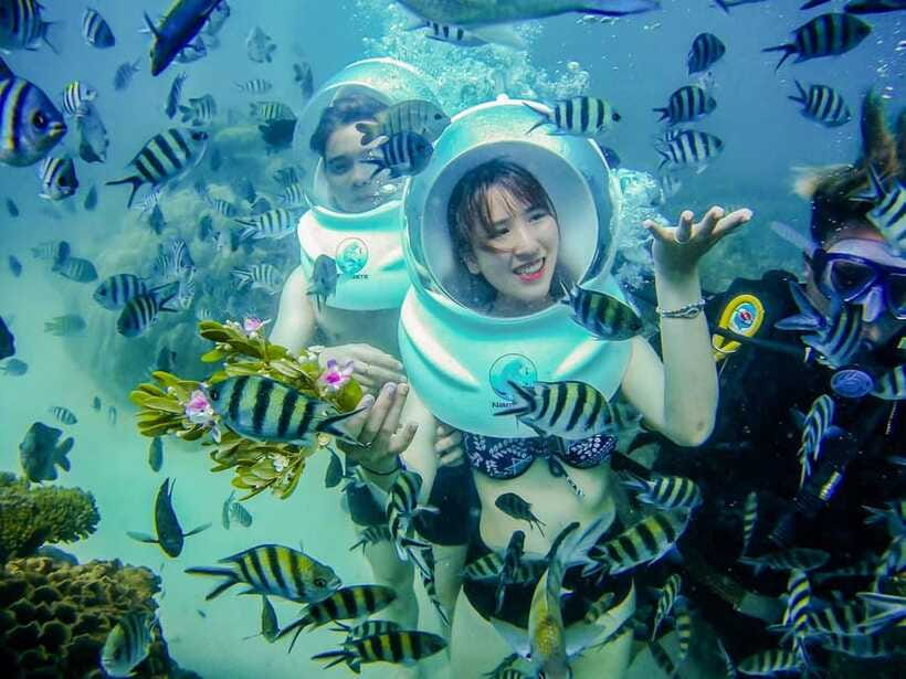 From Nha Trang: Sea Walking Explore Coral Reef- Daily Tour - Pickup and Drop-off
