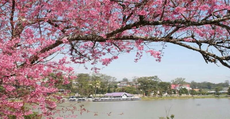 From Nha Trang: Top Site Luxury Da Lat City Trip - Itinerary Highlights