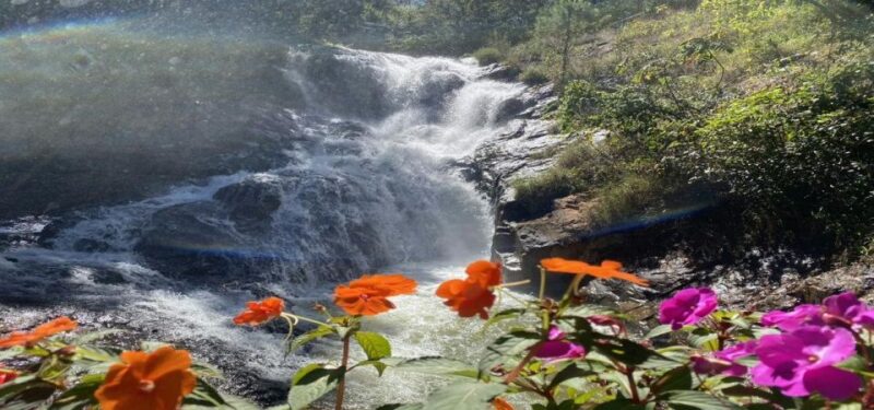 From Nha Trang: Top Site Luxury Da Lat City Trip - Inclusions and Exclusions