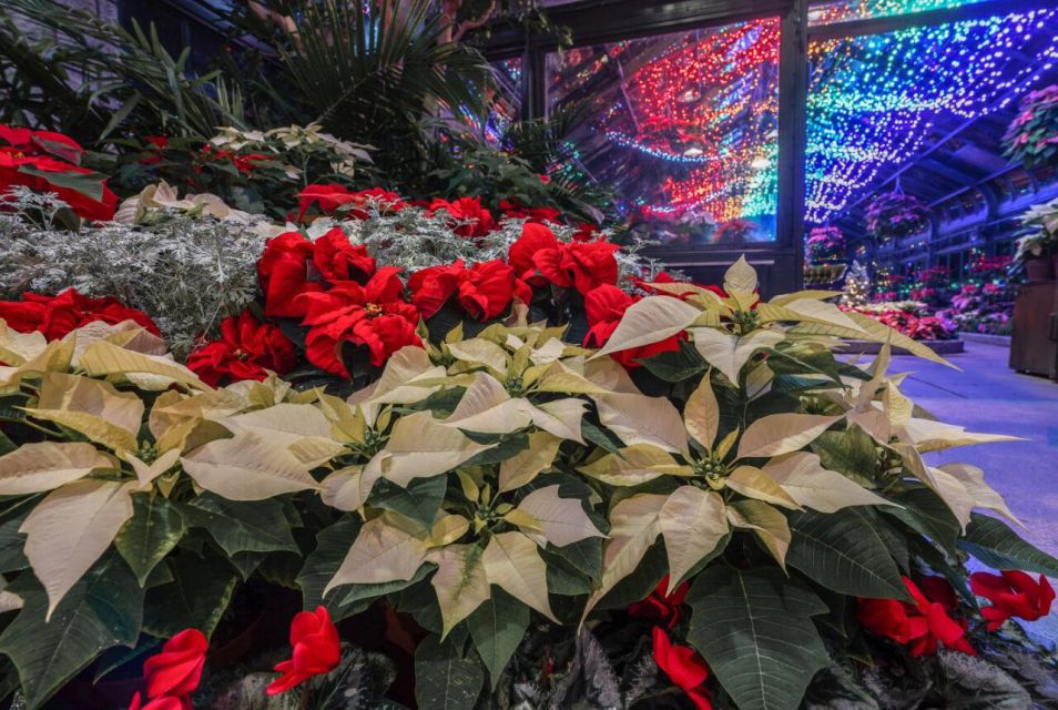 From Niagara Falls: All Inclusive Day & Evening Lights Tour - Light Display and Dinner