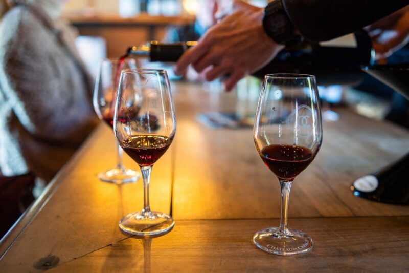 From Nice: Cannes, Saint Paul De Vence and Wine Tasting - Key Points
