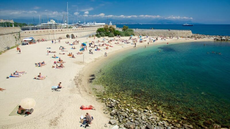 From Nice: Cannes, Saint Paul De Vence and Wine Tasting - Wine Tasting Experience