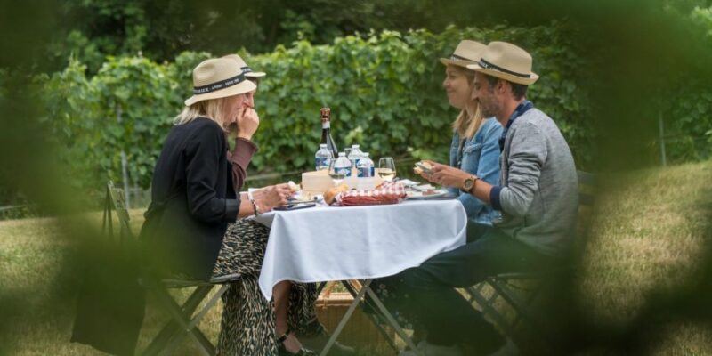 From Nice: Château Vaudois Private Tour With Picnic Lunch - Key Points