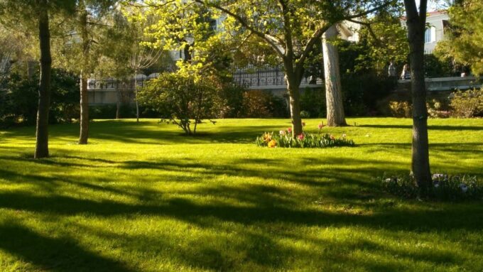 From Nice: Eze, Monaco & Monte Carlo Half-Day Tour - Exploring Eze, Monaco, and Monte Carlo