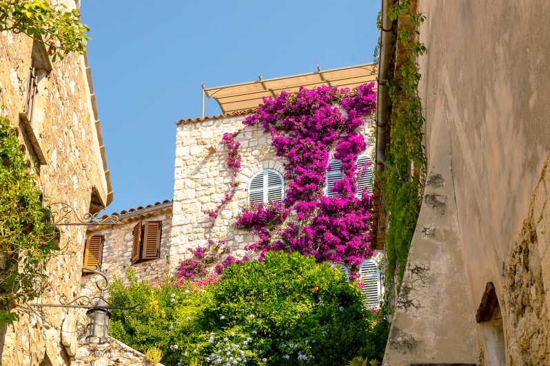 From Nice: Monaco and Eze Half-Day Trip - Key Points