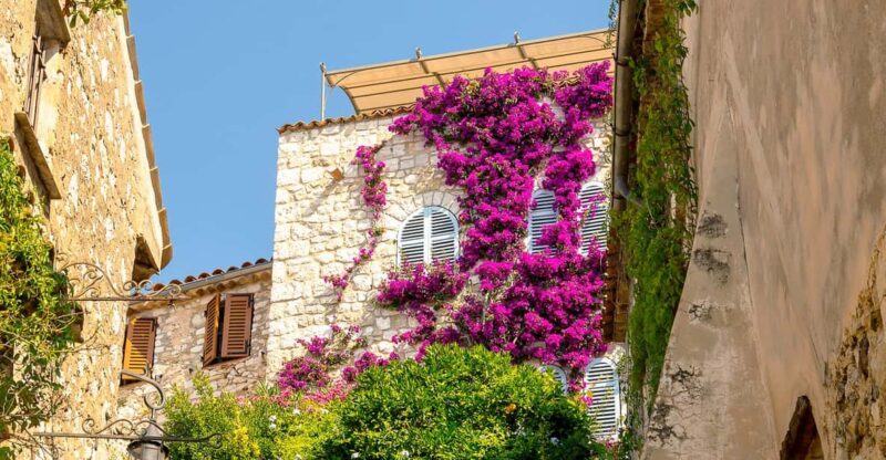 From Nice: Monaco and Eze Half-Day Trip - Experience Highlights