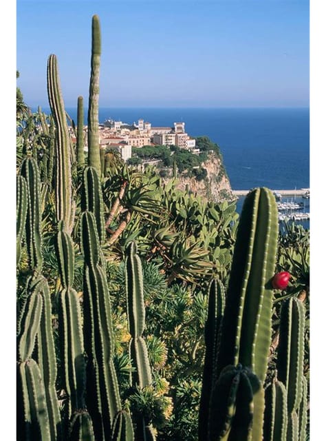 From Nice: Monaco, Monte Carlo & Eze Full-Day Tour - Tour Overview