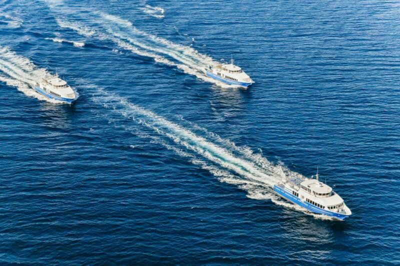 From Nice: Round-Trip Transportation to Saint Tropez by Boat - Key Points