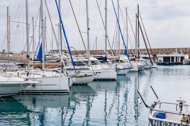 From Nice: Wine Tasting, Cannes, and Countryside Tour - Cannes and the International Film Festival