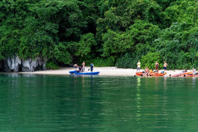 From Ninh Binh: 2 Days 1 Night Cruise in Bai Tu Long Bay - Important Notes