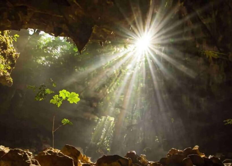 From Ninh Binh: Cuc Phuong National Park Day Trip - Pricing and Booking Information