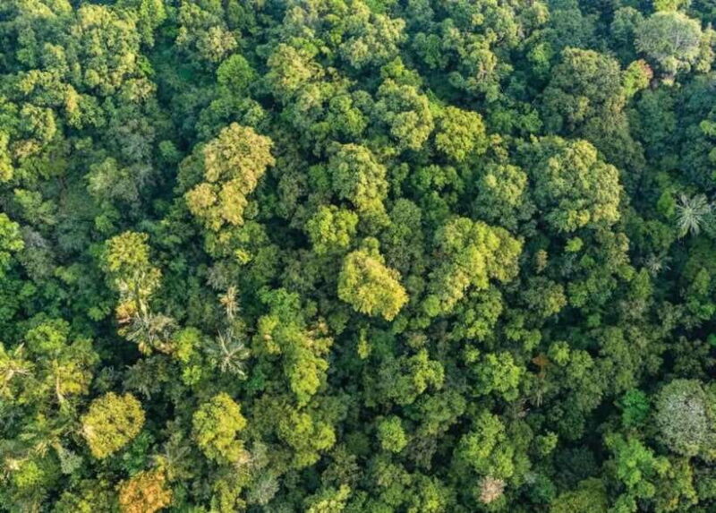 From Ninh Binh: Cuc Phuong National Park Day Trip - Important Considerations for Visitors