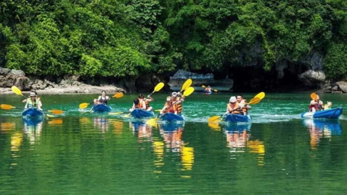 From Ninh Binh: Cuc Phuong National Park Day Trip - What to Bring for Your Trip