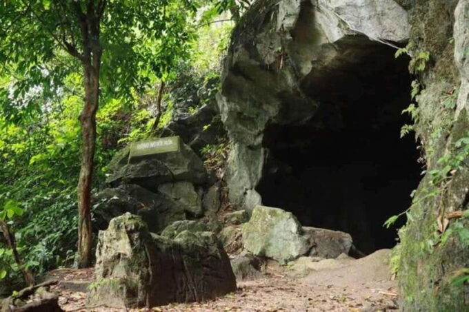 From Ninh Binh: Cuc Phuong National Park Day Trip - Customer Feedback and Reviews